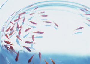 架构设计创新应用案例集锦